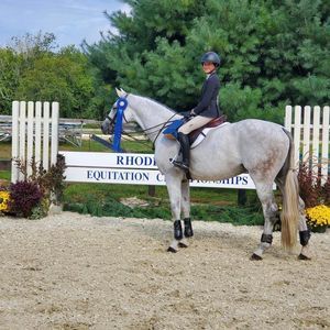 Meet your Posher, Brook